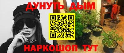 ГАЛЛЮЦИНОГЕННЫЕ ГРИБЫ Гусиноозёрск