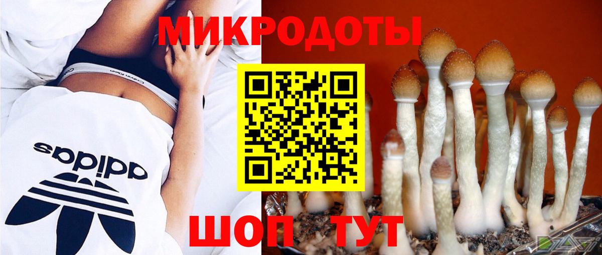 Партизанск  Псилоцибиновые грибы Magic Shrooms  Вход с VPN 